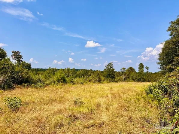 16 Morgan Ln, Molino, FL 32577