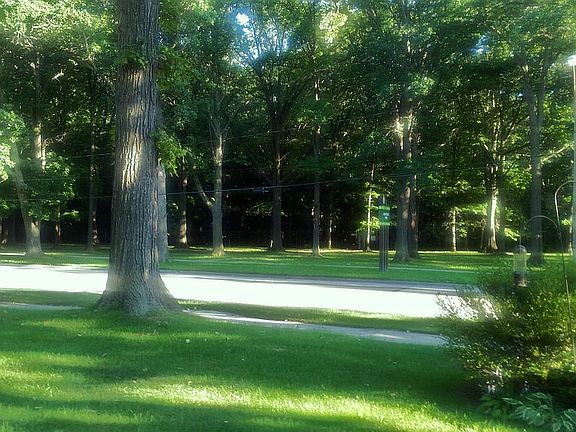  View from front porch