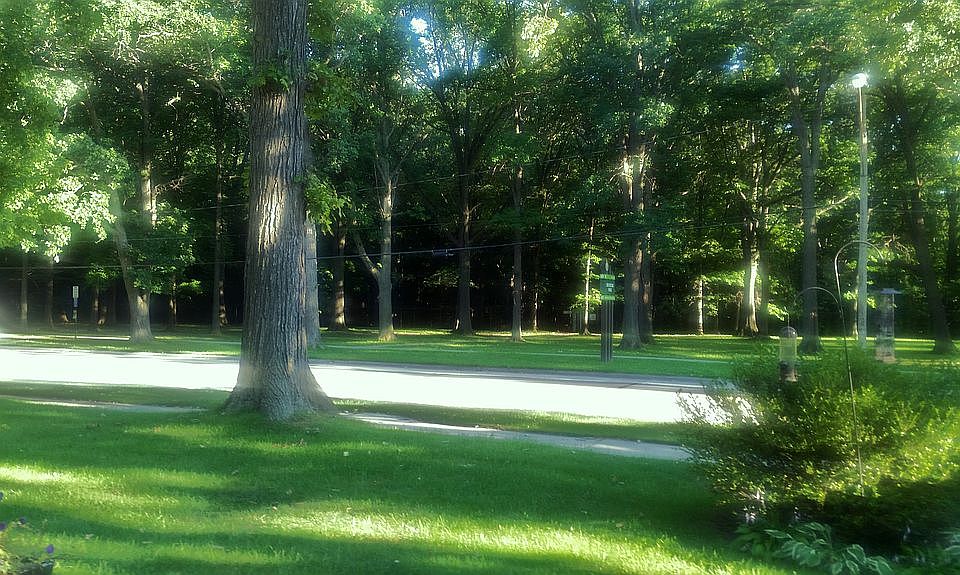  View from front porch