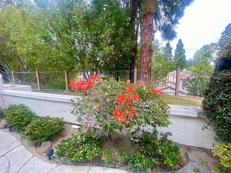 Private back patio
