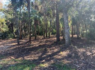 10946 W London Ln, Homosassa, FL 34448