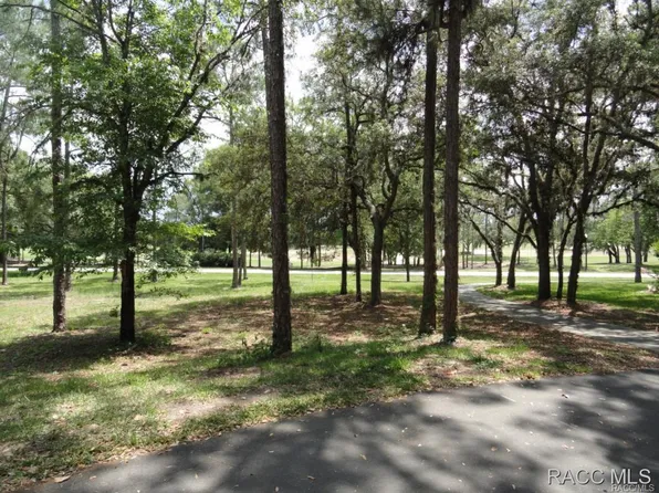 3048 W Plantation Pines Ct, Lecanto, FL 34461
