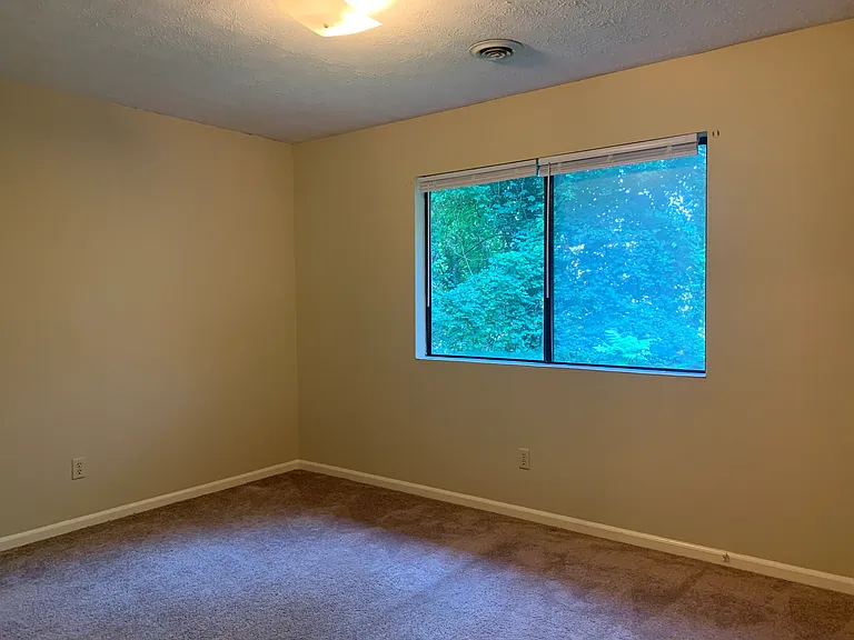 217 Bear Creek Rd — Photo 12
