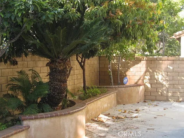 19 Coriander — Photo 11