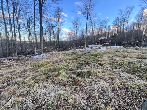 0 Fox Rd LOT WP001, Apalachin, NY 13732