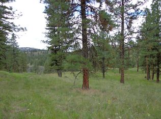 100 Sugarloaf Rd, Curlew, WA 99118