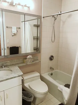 Rented by Furumoto Realty of New York City Inc | media 44