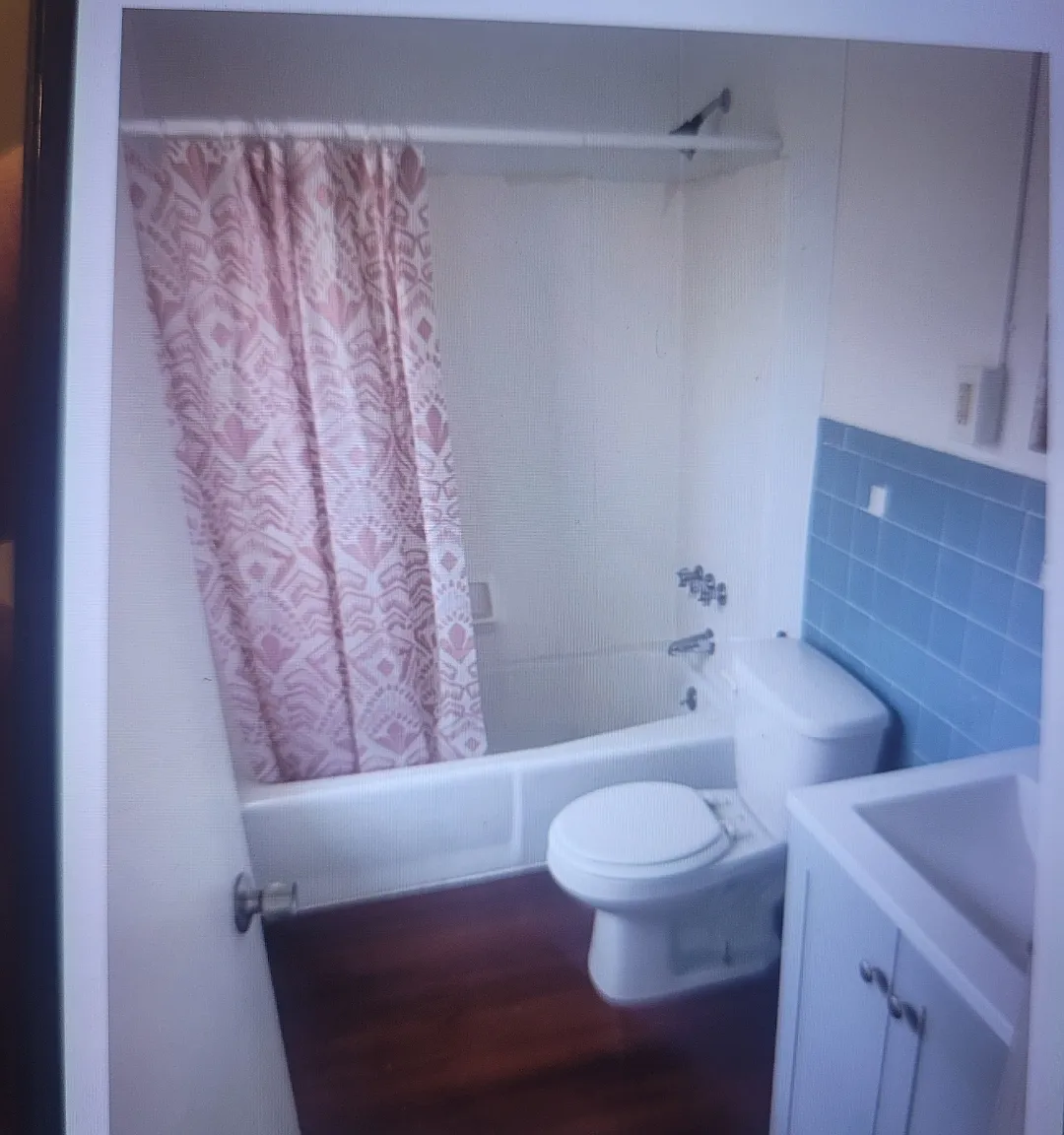 2 bed, 650 sqft, $1,650 — Photo 2