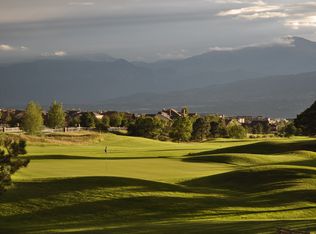 9874 Palisade Ridge Dr, Colorado Springs, CO 80920