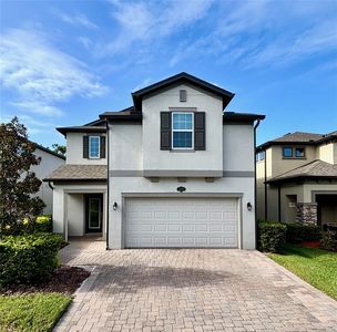 19592 Breynia Dr, Lutz, FL, 33558