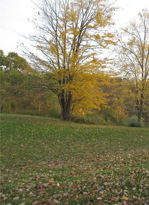 2nd image of Tabor Ridge Rd NE
