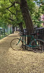 Rented by Sky Management