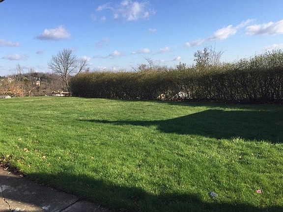Large Level Rear Yard