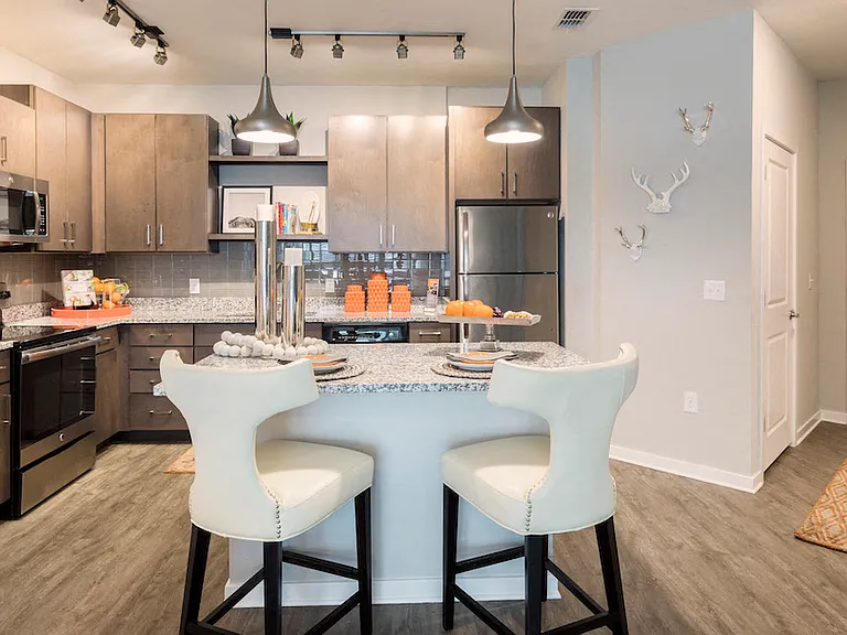 Ariel - Lake Nona — Photo 20