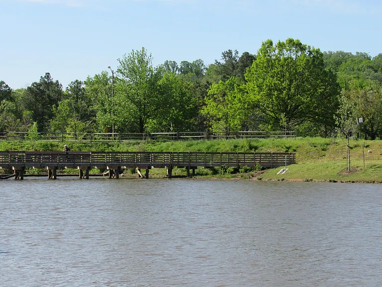 3848 Dominion Mill Dr — Photo 52
