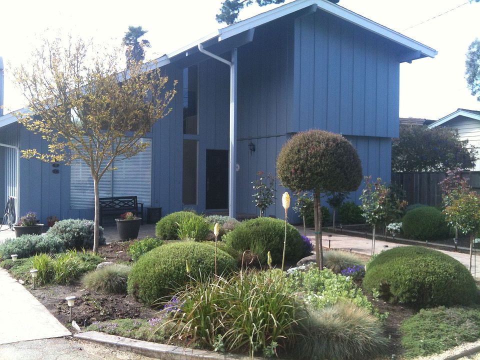 front of the house