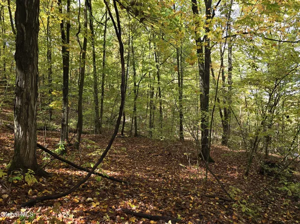 L25 River Road, Ticonderoga, NY 12883