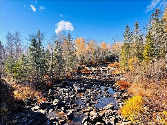 2nd image of Little River Rd