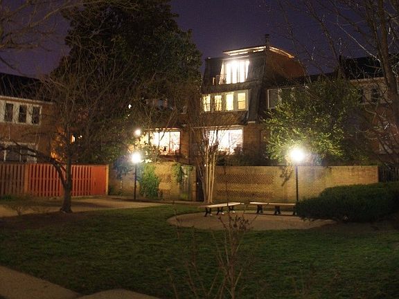 REAR AT NIGHT