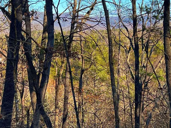 147 Valley View Rd, Basye, VA 22810