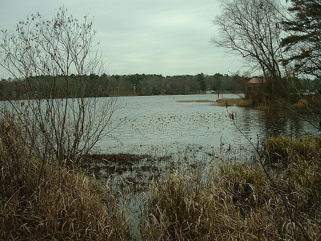 2nd image of LOT 20 Cr3420 ,