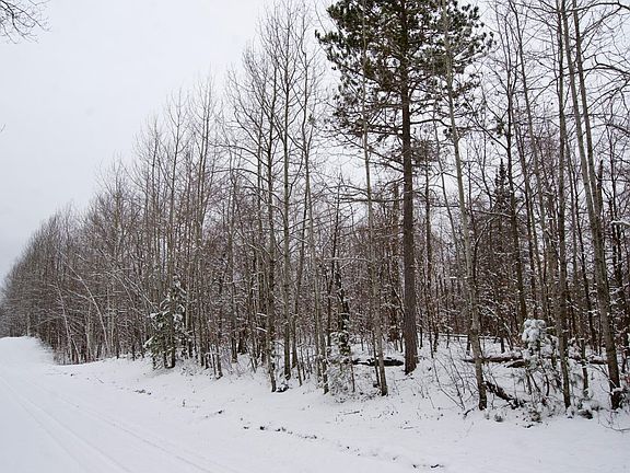 3rd image of Sheridan Woods Ln NE