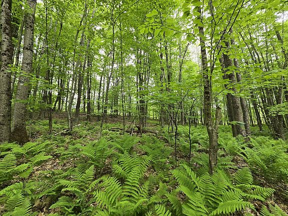 2nd image of Lot 26 Canton Mountain Road