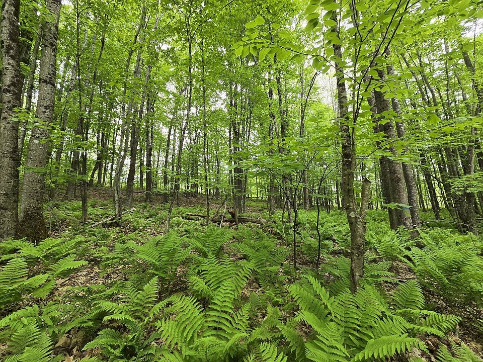 1st image of Lot 26 Canton Mountain Road