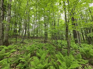 Lot 26 Canton Mountain Road, Jay, ME 04239