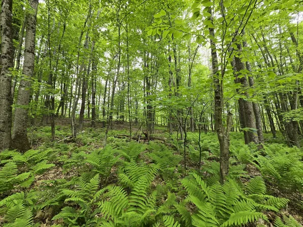 Lot 26 Canton Mountain Road, Jay, ME 04239