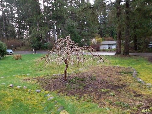 5th image of 14621 Holiday Dr NW