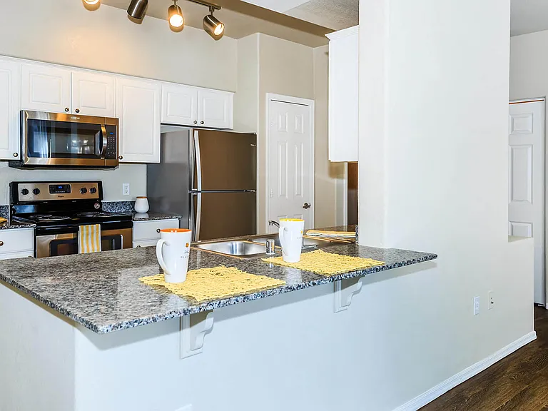 2b2 Renovated 1141 SQFT 2 Bed 2 Bath