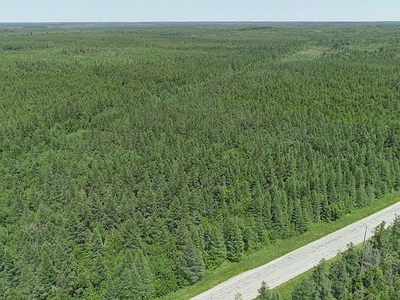 3rd image of 252 Acres River Rd