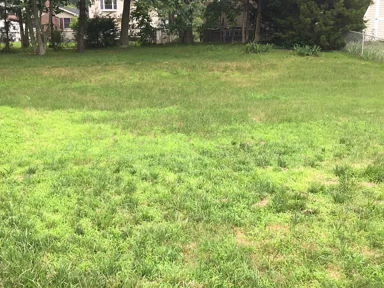 62 Western Dr — Photo 29