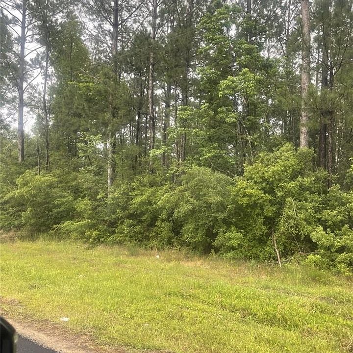 2nd image of E Allen Dr