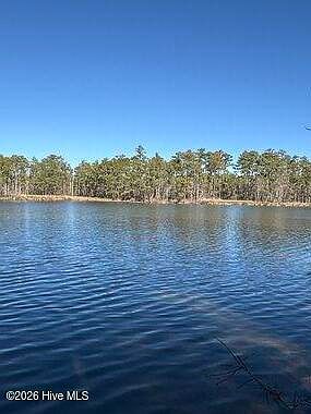 3rd image of 8 Pitch Kettle Ct Lot 8