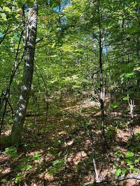 2nd image of 0 Beech Ridge  Road