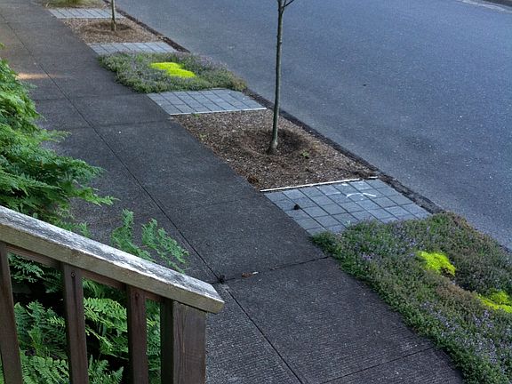Sidewalk strip landscape