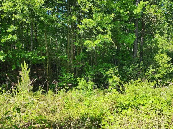 0 Circle Dr #56, Roanoke, AL 36274