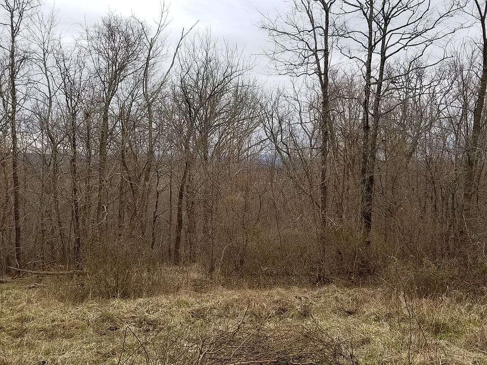 1st image of Skyline Dr