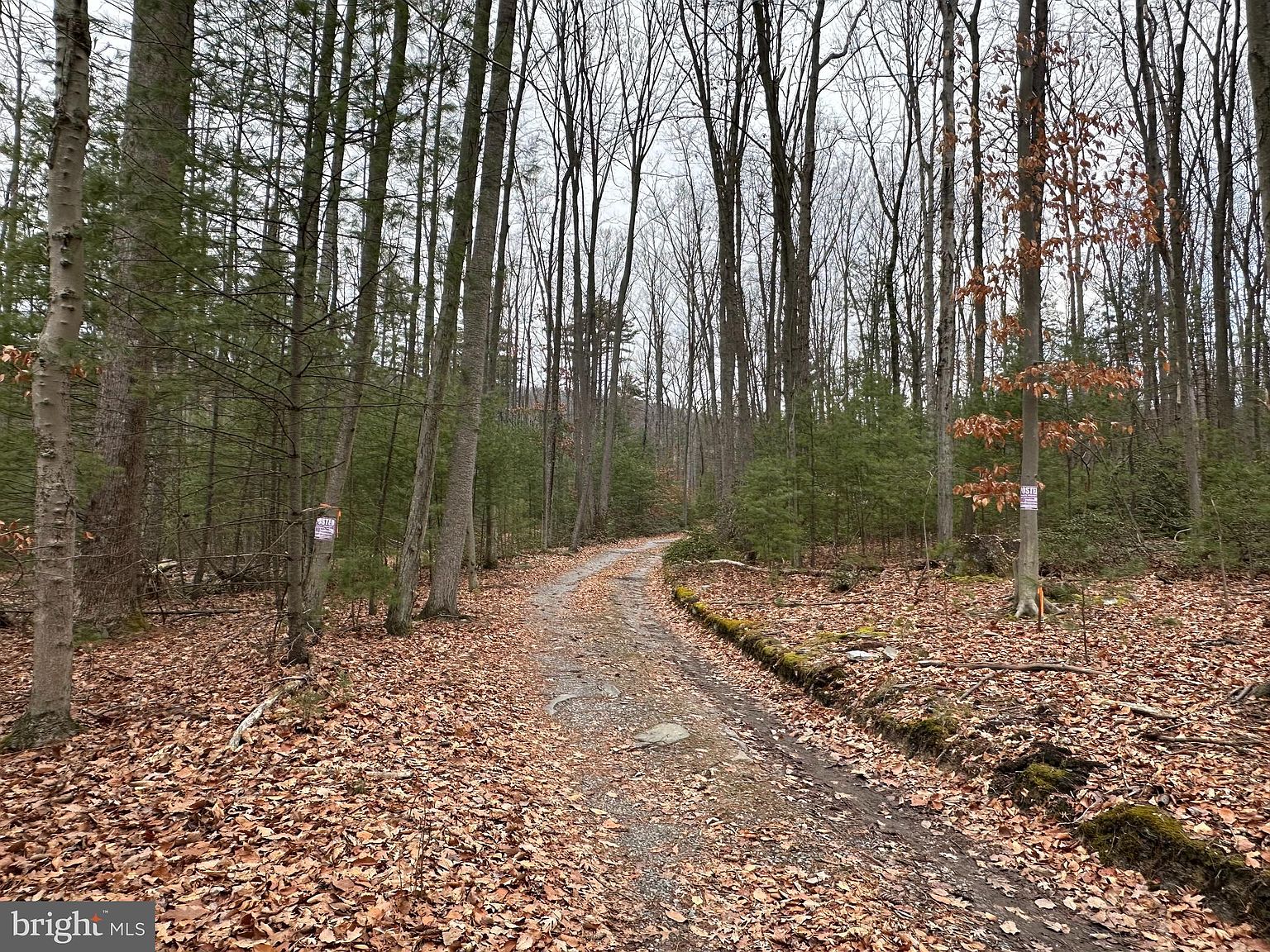 244 Coffeetown Rd, Dillsburg, PA 17019 Zillow