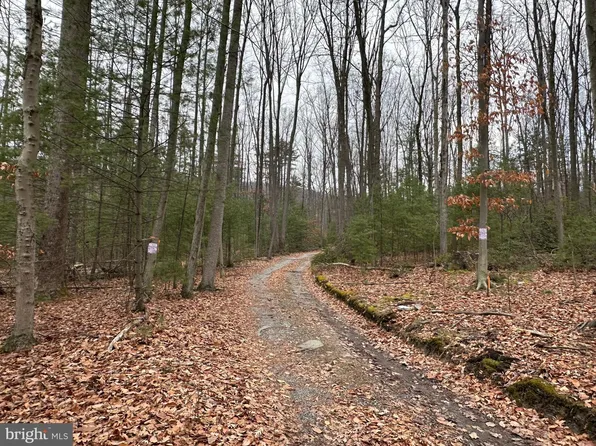 244 Coffeetown Rd, Dillsburg, PA 17019