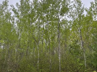 Burrows Lake Rd LOT 1, Tomahawk, WI 54487