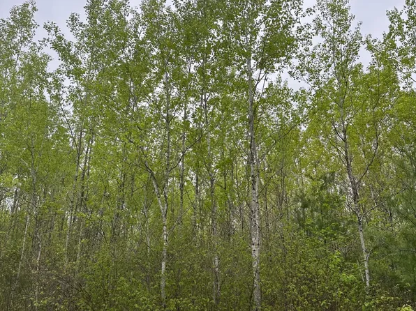 Burrows Lake Rd Lot 1, Tomahawk, WI 54487