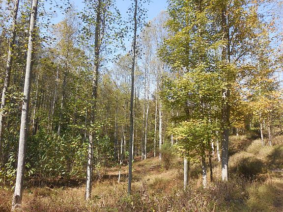 62nd image of this home