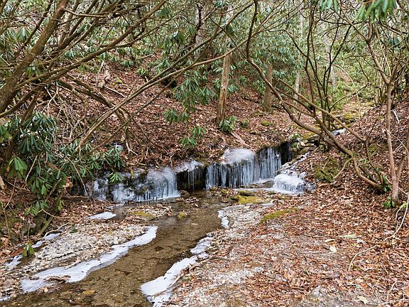 5th image of 4317 Dillard Road