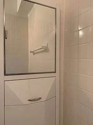 Rented by Manhattan Flats | media 36