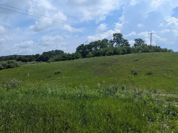 LOT 1 Vicary Rd, Cement City, MI 49233