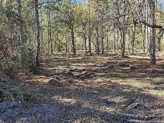 3rd image of 0 Crawford Ln