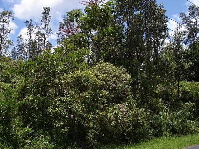2nd image of Lehua Dr Lot 64